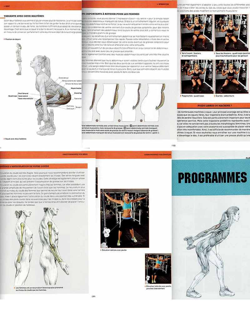 Comprendre l'anatomie de la musculation
